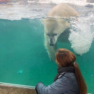 Meet your Posher, Donata